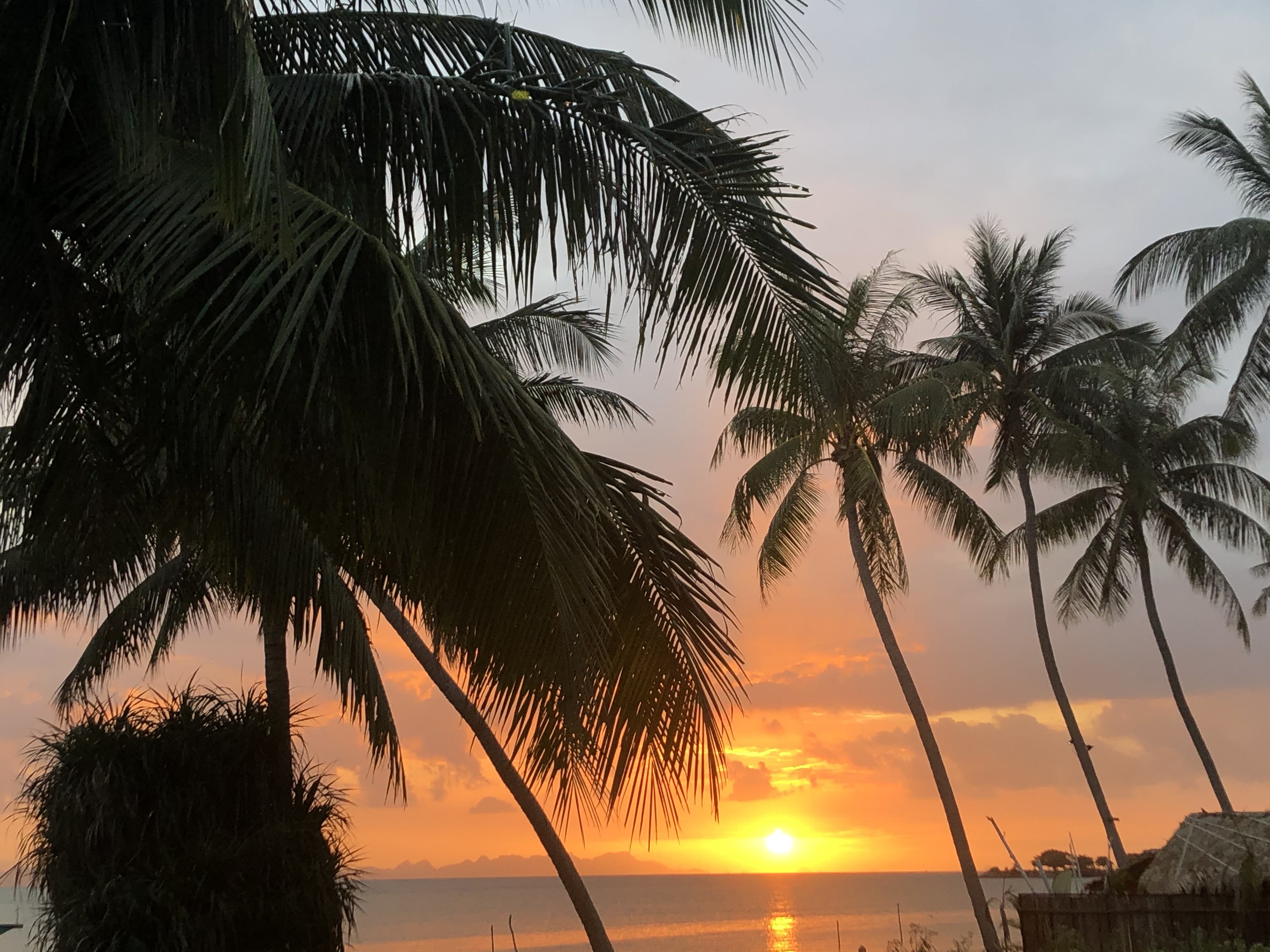@SunsetLover